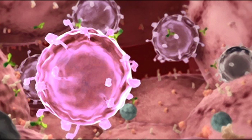 癌細胞と免疫細胞模式図